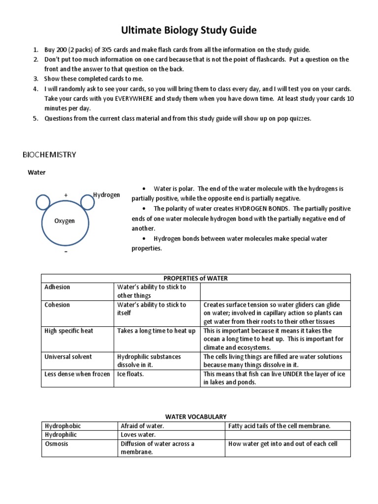 Ultimate Biology Study Guide Overview | PDF | Meiosis | Cell (Biology)