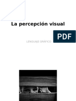 2a-La Percepción Visual