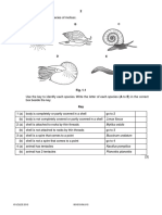 past exam question