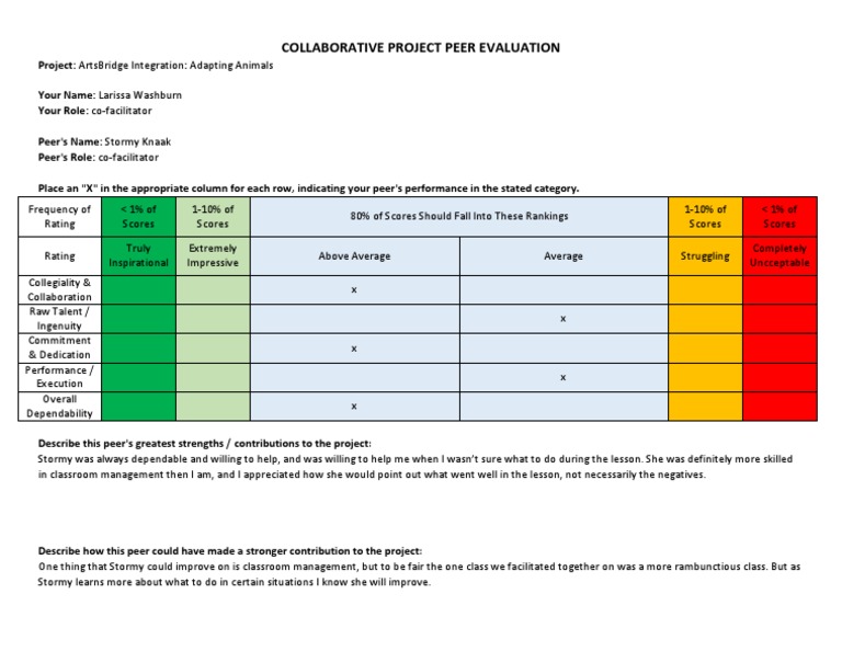 Project Peer Evaluation From Larissa | PDF | Career & Growth | Self ...