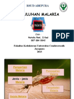 Penyuluhan Malaria