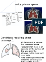 Thoracic Cavity Pleural Space