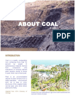 About Coal