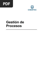 Download Manual de gestin de procesos Cibertec by Angelo Altamirano Baca SN306818417 doc pdf