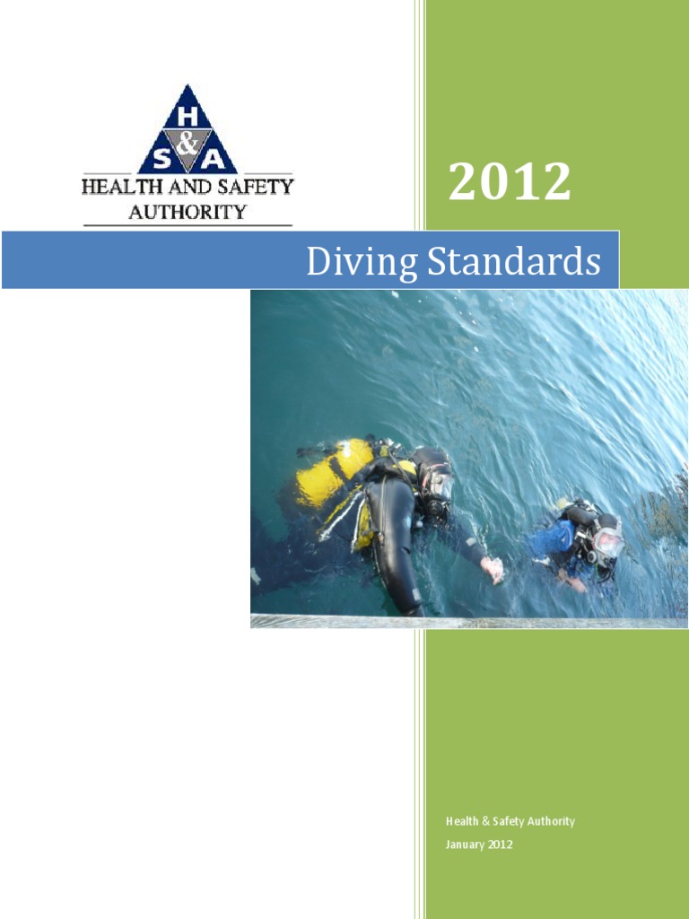 Diving Standards Scuba Diving Water Sports