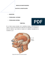 musculos infrahioideos