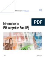IBM Integration Bus For Customers V1 PDF