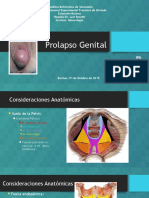 Prolapso Genital