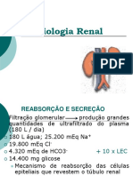 Fisiologia Renal Constanzo parte 2_2009.pdf