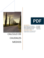 Delimitacion de la cuencas Pampas