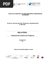 relatorio Daniela111