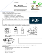 Por qué debemos cepillarnos los dientes - Taller de Ciencias