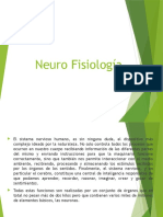 Neuro Fisiologia