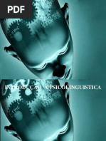 PSICOLINGUISTICA 2