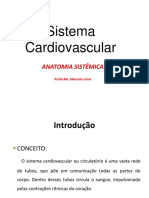 Anatomia Cardiovascular Aluno