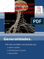 7 Conformacic3b3n medulaInterna y Externa de Medula Tallo Cerebral 130120181048 Phpapp02