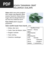 Download Daun Salam by Siti Afifah Hasibuan SN306868027 doc pdf