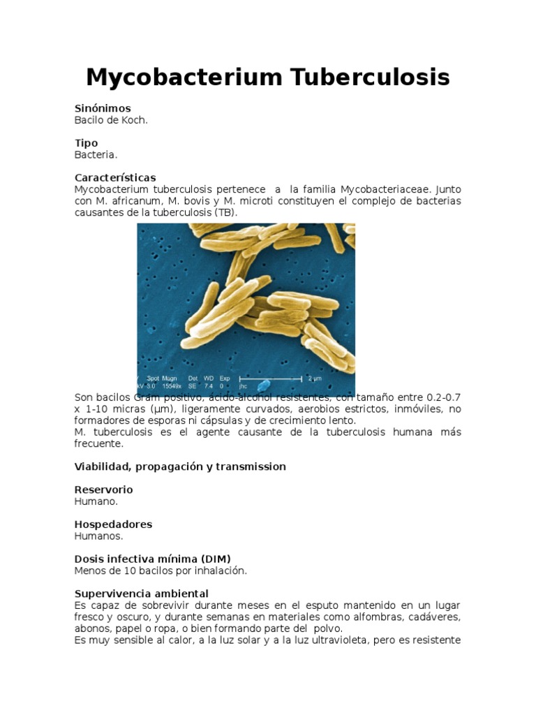 Mycobacterium Tuberculosis | PDF | Tuberculosis micobacteriana ...