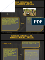 Diapositivas de Impuesto Selectivo Al Consumo