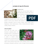 Plante Protejate de Lege Din Romania - Documente Google
