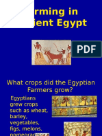 Egyptian Farming