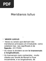 Meridianos Principal e Acoplados Excesso e Vazio