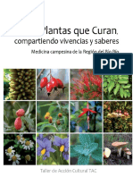 Plantas Que Curan - Medicina Campesina de La Region Del Bio Bio