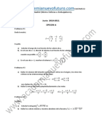 Examen Matematicas II Selectividad Madrid Junio 2011 Enunciado