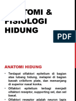 Anatomi & Fisiologi Hidung