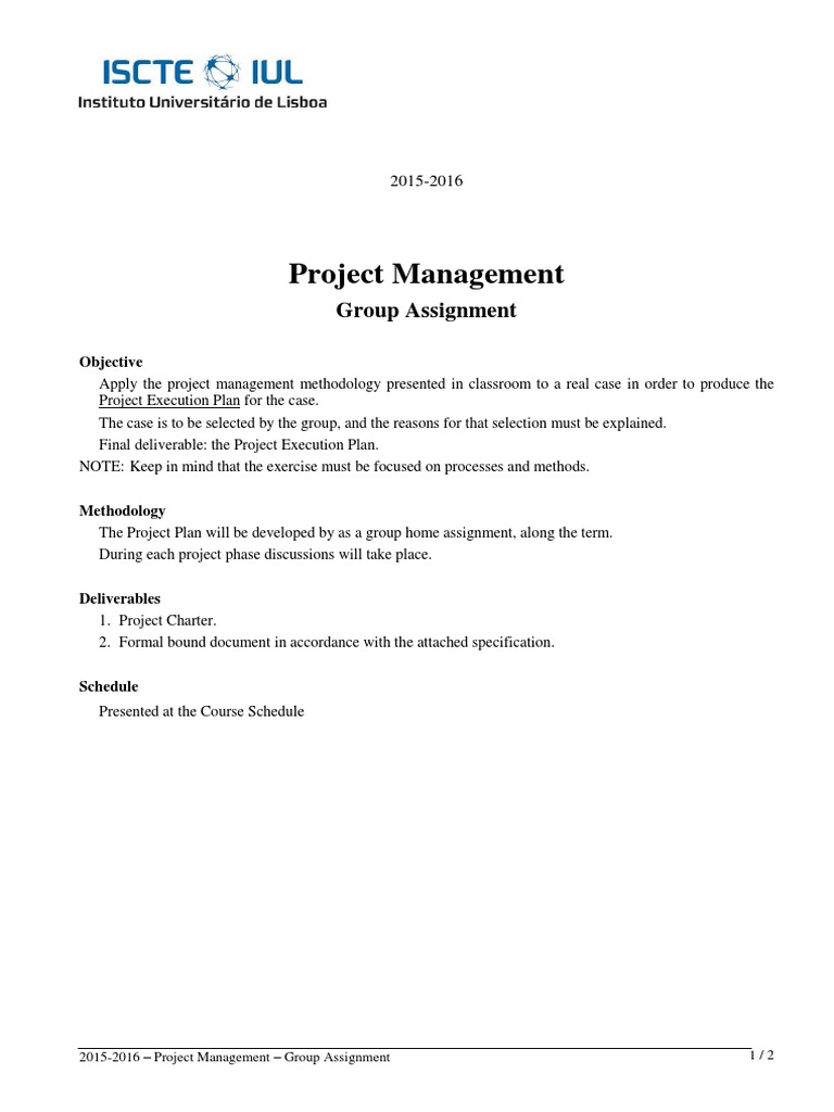 Project Management Group Assignment Guide | PDF | Art