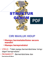 Struktur Genom