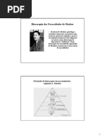 Apostila - Motivação e Liderança