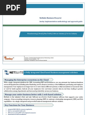 NetSuite Customization Services