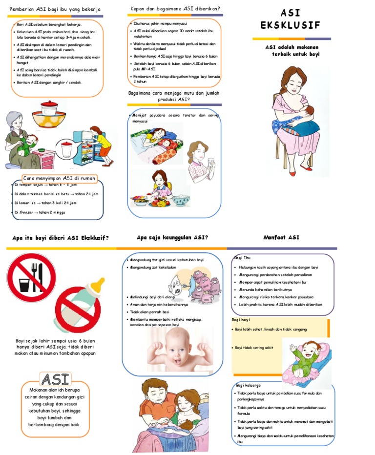 Leaflet Asi Eksklusif Doc