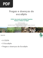 Pragas e doenças do eucalipto