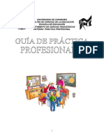 Guia de La Practica Profesional II 2009