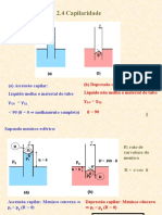 03 - Capilaridade e Gibbs