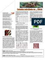 S.martinho Castanhas - Cienciaviva