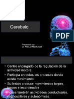 3.Cerebelo.ppt