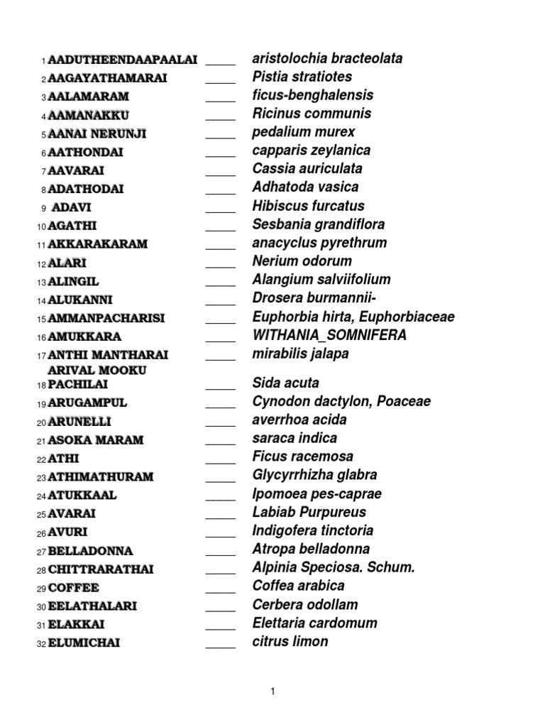 Tamil Name List Of Medi Plants Pdf Botany Organisms