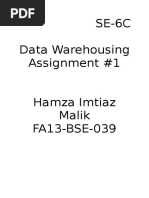 SE-6C Data Warehousing Assignment #1 Hamza Imtiaz Malik FA13-BSE-039