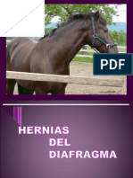 1. Hernias Diafragmáticas