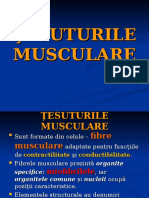 LP MG 7 Tesuturi Musculare