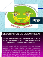 Análisis de la asociación de productores de banano orgánico AMPBAO