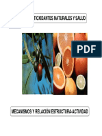 2010-04-20-Antioxidantes-en-Naturaleza-Mecanismos-fundamento-estructurales.pdf