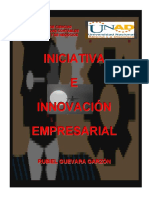 Iniciativa Empresarial PDF