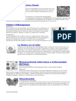 Enfermedad Del Virus Ébola