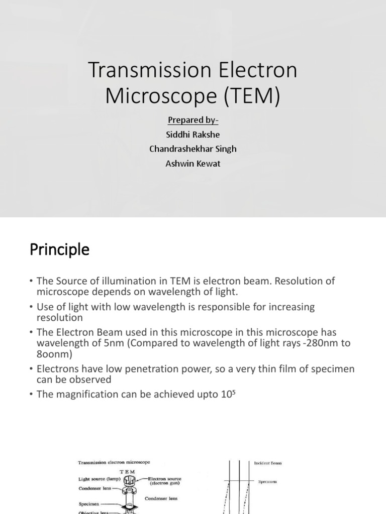 An InDepth Look at Transmission Electron Microscopy Principles