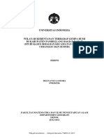 File PDF