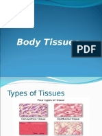 Body Tissue Slides 
